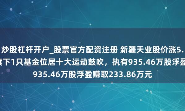 炒股杠杆开户_股票官方配资注册 新疆天业股价涨5.03%，南边基金旗下1只基金位居十大运动鼓吹，执有935.46万股浮盈赚取233.86万元