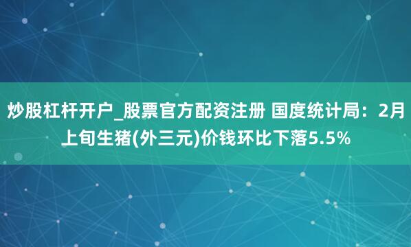 炒股杠杆开户_股票官方配资注册 国度统计局：2月上旬生猪(外三元)价钱环比下落5.5%